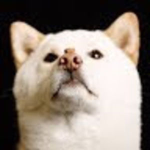 Meet your Posher, Jen